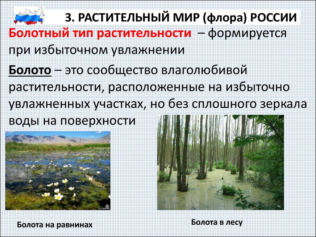 Описание типа растительности в заповеднике. Болотный Тип растительности. Болотный Тип растительности России. Азональная растительность. Зональный и АЗОНАЛЬНЫЙ Тип растительности.