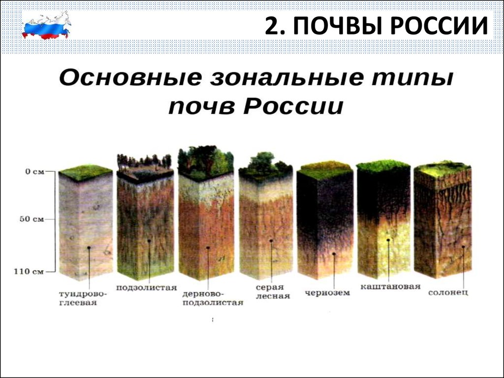 В какой зоне наиболее плодородные почвы. Типы почв распространенных в России. Основные типы почвы России 10. Распространенный Тип почв в России. Самые распростроненные почвы Росси.