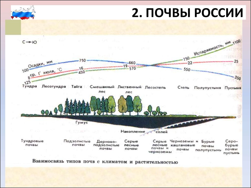 Перечислить почвы с севера на юг. Почвы России схема. География 8 класс закономерности распространения почв. Закономерности распределения почв. Взаимосвязь типов почв с климатом и растительностью.