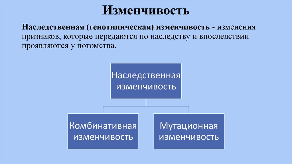 Схема изменчивость наследственная изменчивость