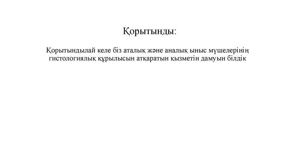 Қорытынды: