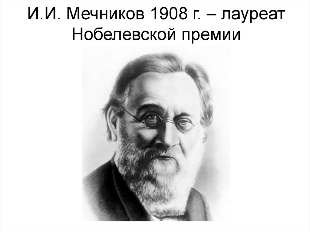 Мечников нобелевская премия. Мечников 1908. Мечников Нобелевский лауреат. Мечников Нобелевская премия 1908. И$ иммунологии, лауреат Нобелевской премии (1908 г.);.