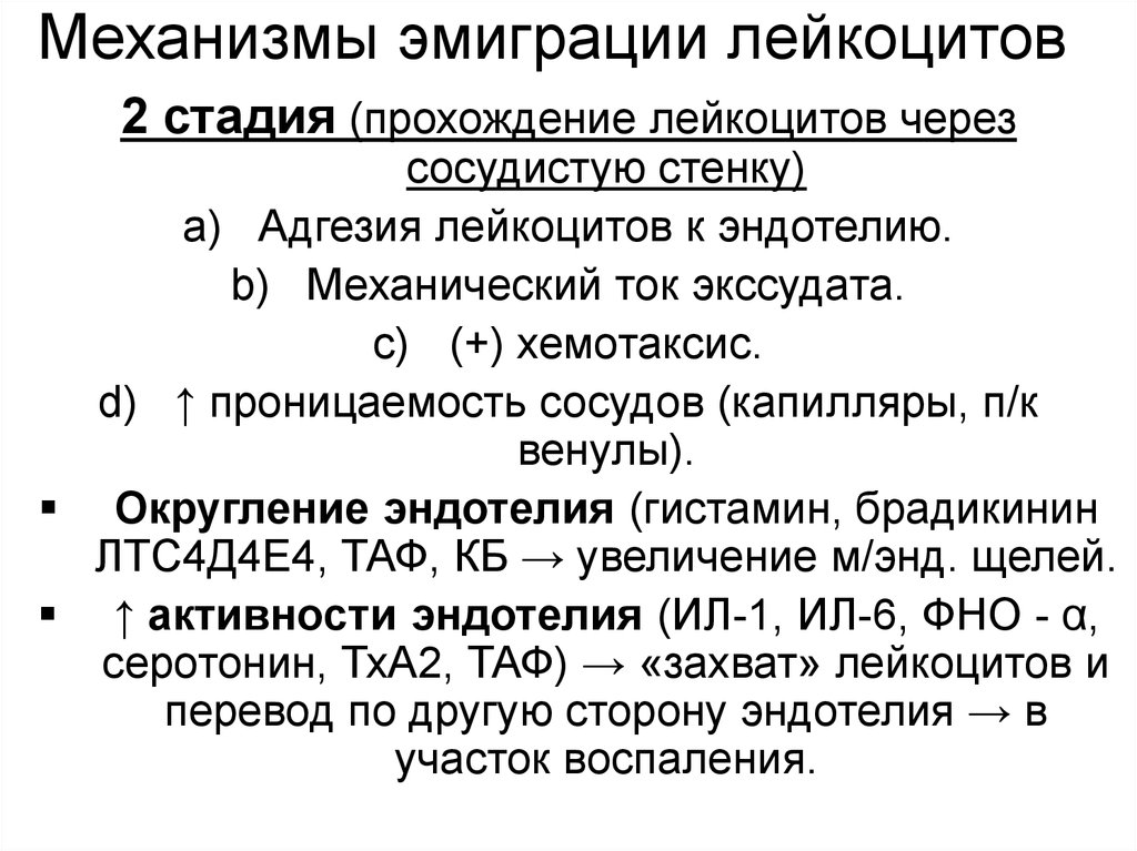 Е стадия. Механизм эмиграции лейкоцитов при воспалении. Механизмы эмиграции лейкоцитов в очаг воспаления. Стадии эмиграции лейкоцитов при воспалении. Эмиграция лейкоцитов при воспалении ее механизмы.