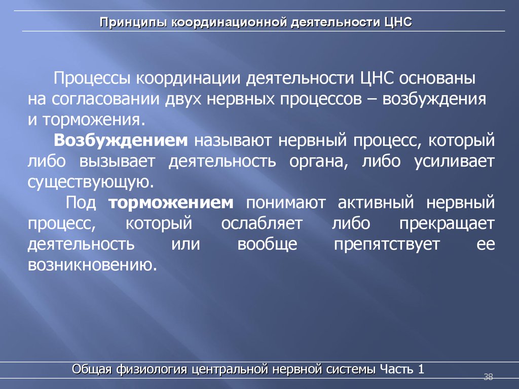 Вызванная активность. Основные процессы нервной деятельности. Процесс координации деятельности. Принципы координационной деятельности ЦНС. Координационные процессы в ЦНС..