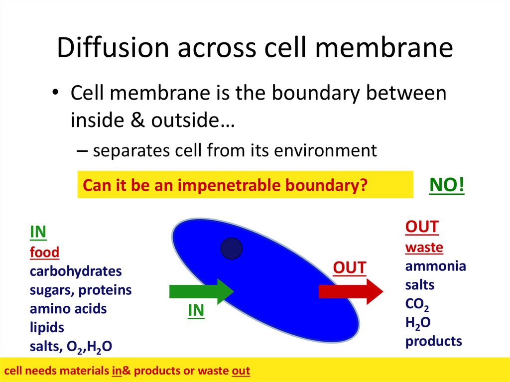 Diffusion across cell membrane