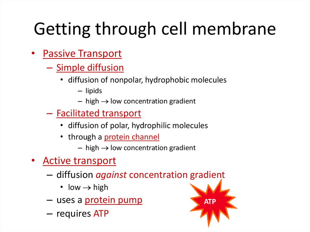 Getting through cell membrane