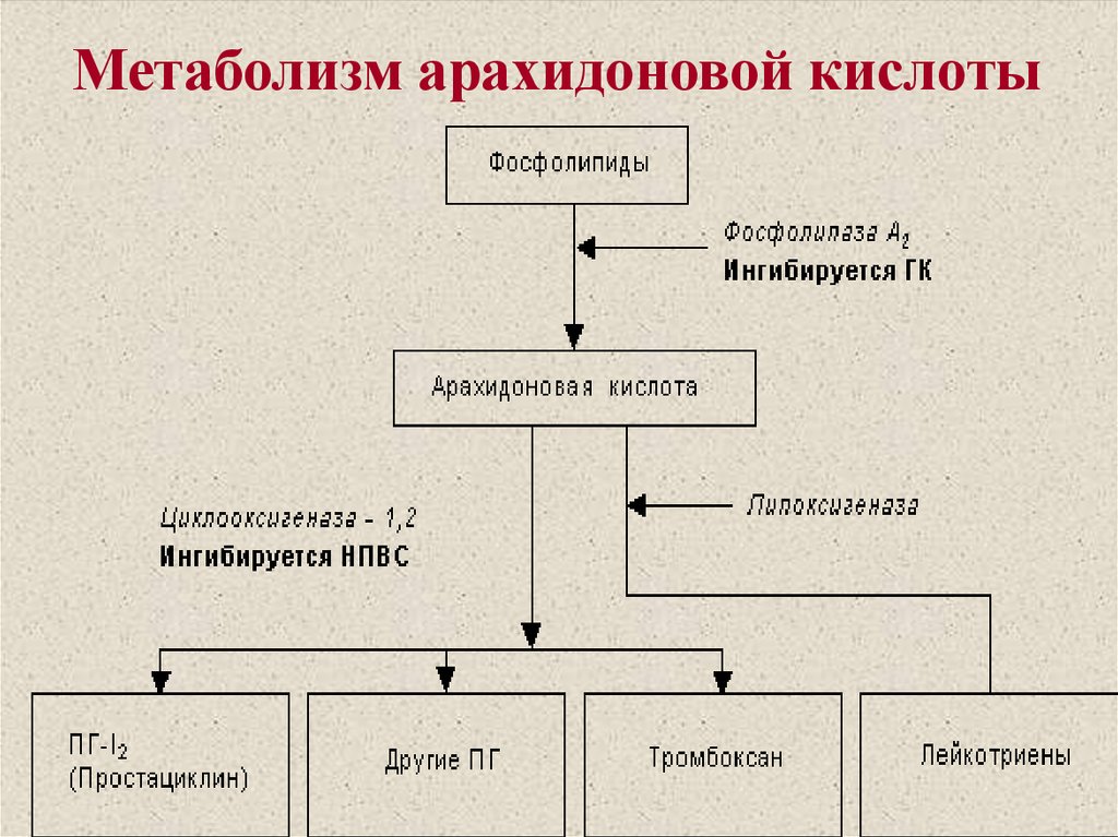 Схема арахидоновой кислоты