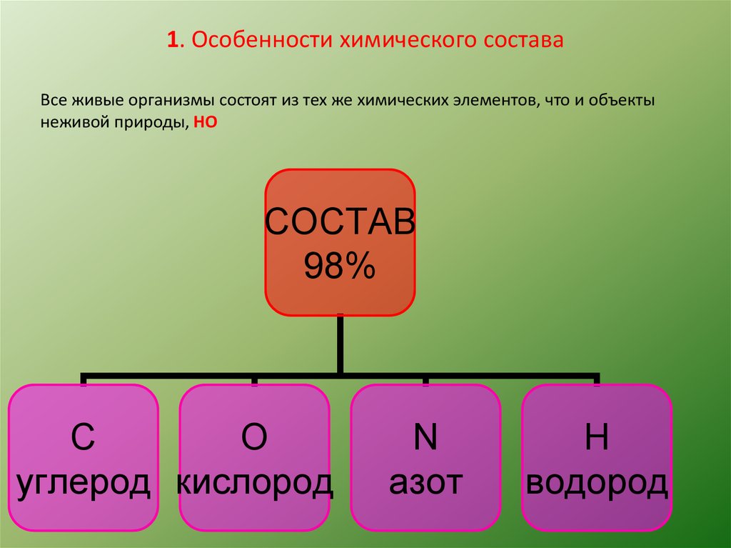 Живые организмы накопители различных элементов презентация