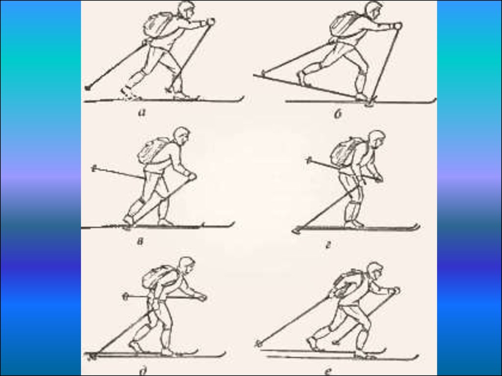 Свободное передвижение на лыжах. Попеременный четырехшажный шаг. Попеременный двухшажный и четырехшажный ход. Попеременный четырехшажный ход. Попеременный четырехшажный классический ход.