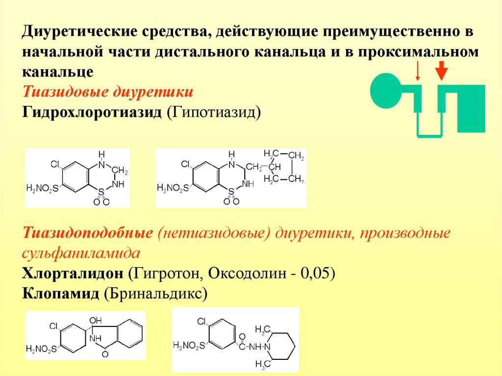Средства действующие. Циклопентиазид. Диуретик действующий в начальной части дистального канальца. Диуретики действующие на начальную часть дистального канальца. Средства действующие на начальный отдел дистальных канальцев.