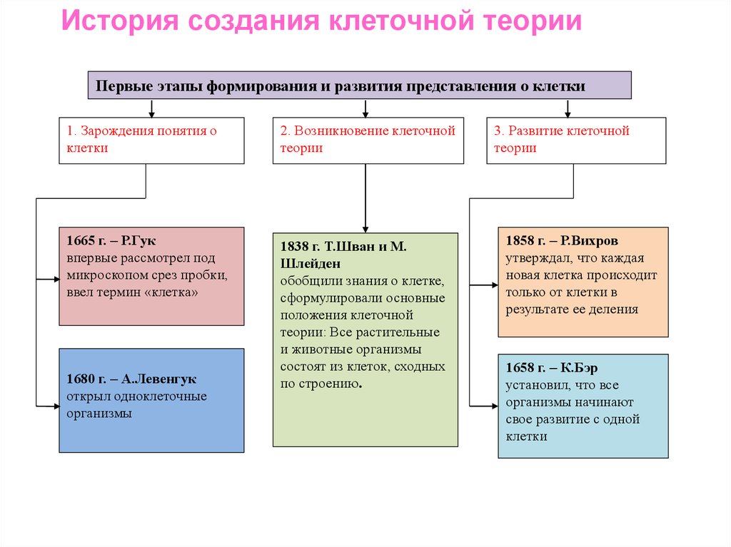 Охарактеризуйте роль современной клеточной теории в становлении современной естественнонаучной картины мира