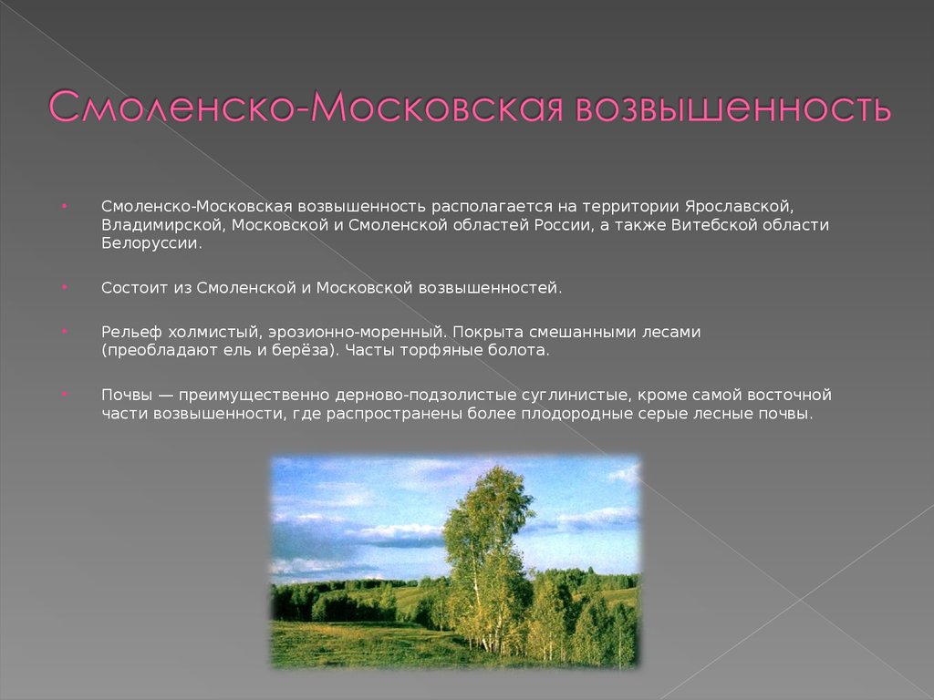 Смоленско московская форма рельефа. Владимирская область Смоленско-Московская возвышенность. Смоленско-Московская возвышенность ландшафт. Смоленско Московская возвышенность форма рельефа. Смоленско Московская возвышенность почва.