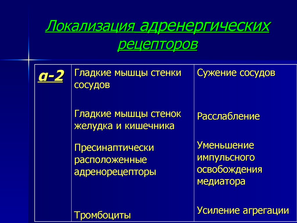 Альфа адренорецепторы локализация. Бета 2 адренорецепторы локализация. Адренергические рецепторы локализация. Локализация адренорецепторов. Типы адренорецепторов и их локализация.