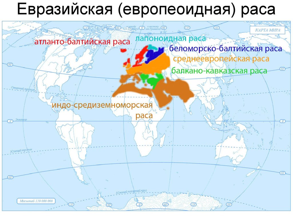 Карта рас мира