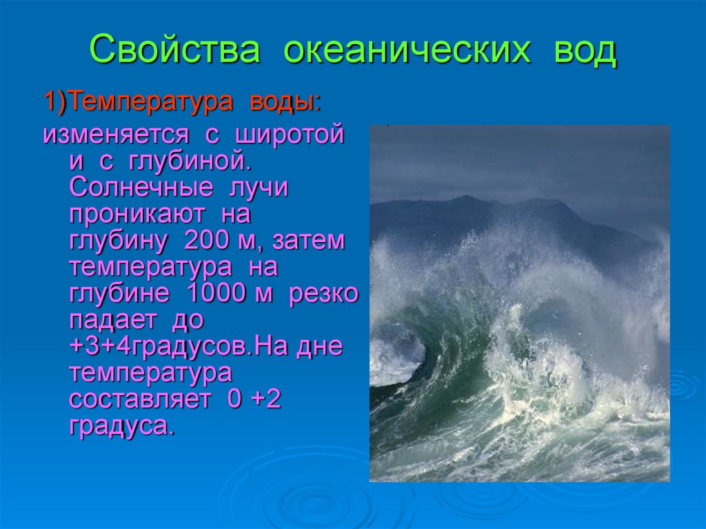 Что относится к водам океанов