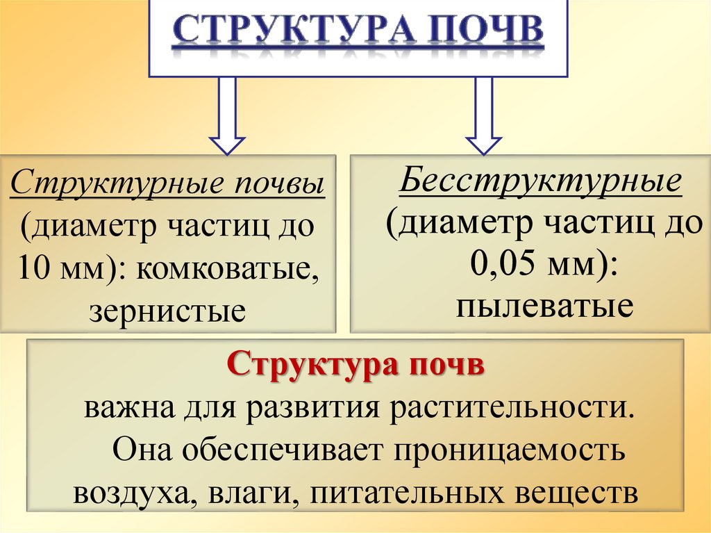 Структура почв презентация