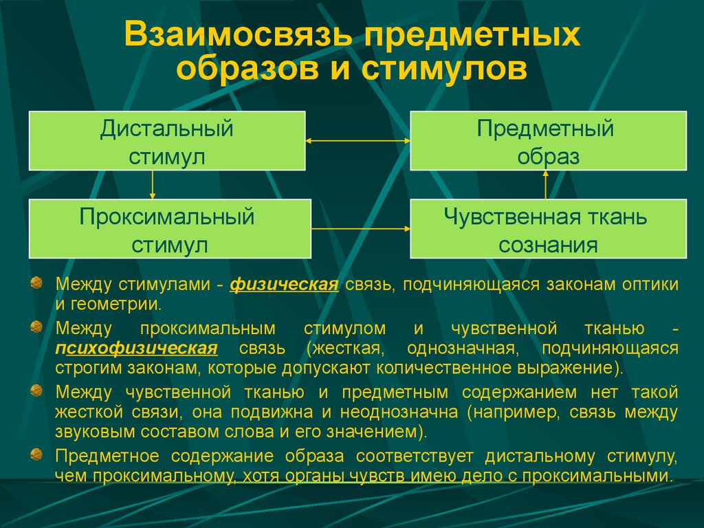 Связь образов. Дистальный и проксимальный стимулы. Дистальный и проксимальный стимулы восприятия. Проксимальный стимул в психологии. Дистальный стимул в психологии это.