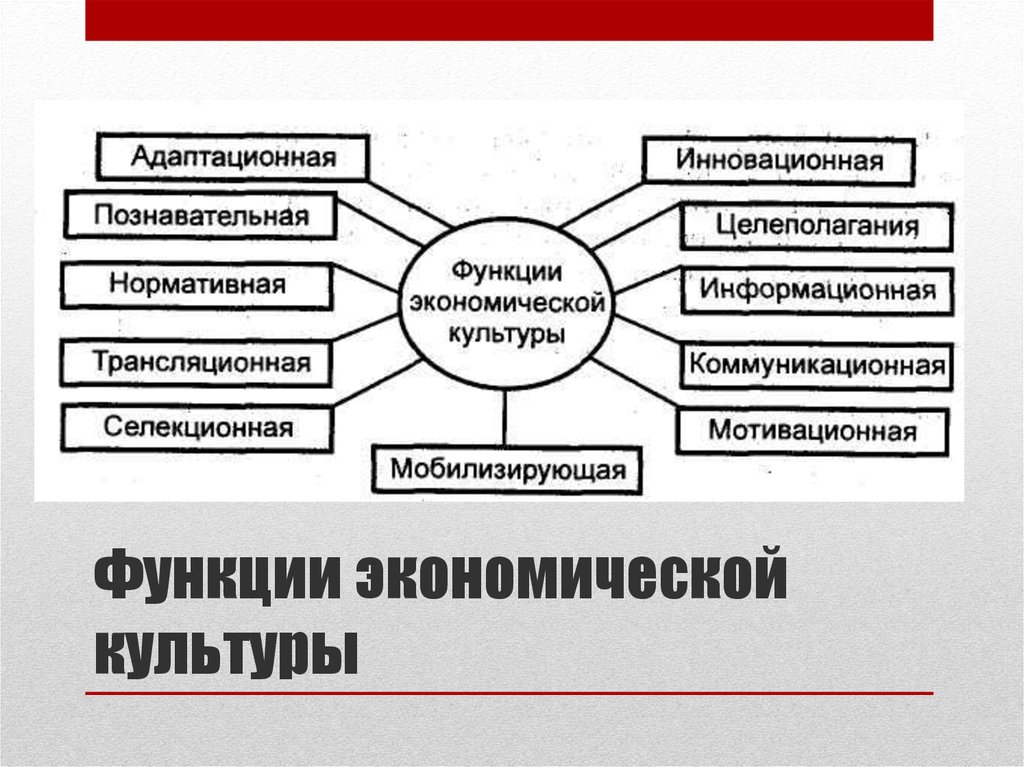 Экономическая социология. Функции экономической культуры. Экономическая социальная культурная это функции.