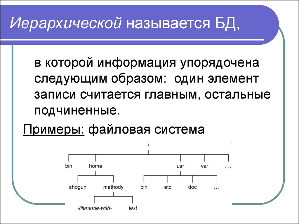 Иерархическое представление данных. Иерархическая система примеры. Иерархическая база данных файловая система. Иерархическая информация это. В иерархической базе данных элементы упорядочены.