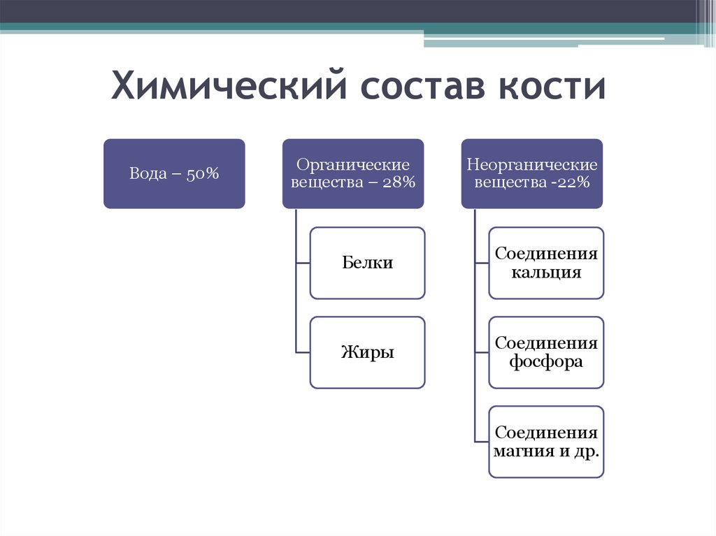 Со став. Химический состав кости. Органические и неорганические вещества кости. Химический состав костей схема. Неорганические вещества костей.