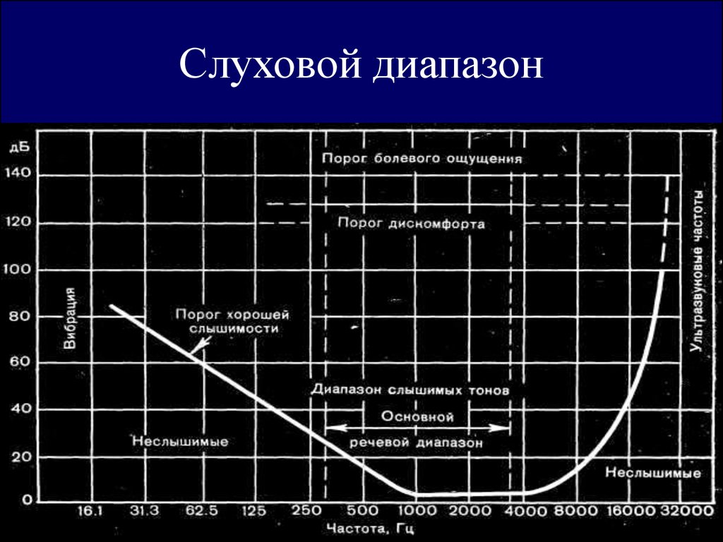 Лучший диапазон. Слуховой диапазон. Диапазон слуха человека. Диапазон слуха человека в Гц. Диапазон слуха таблица.