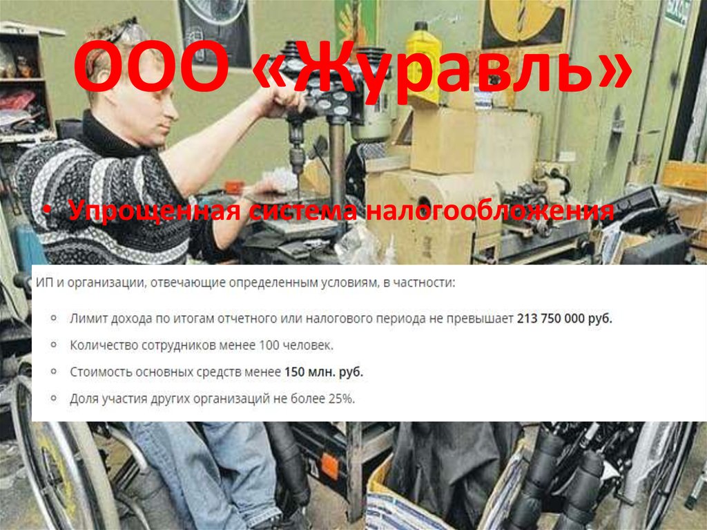 ООО «Журавль»