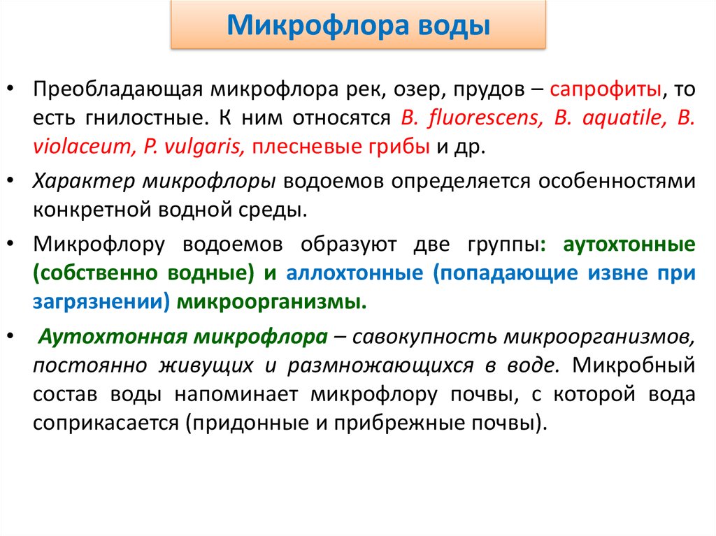 Микрофлора воды презентация