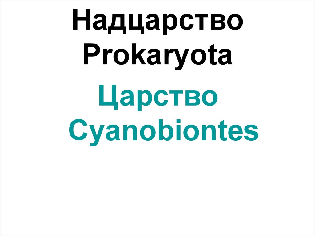 Надцарство Prokaryota