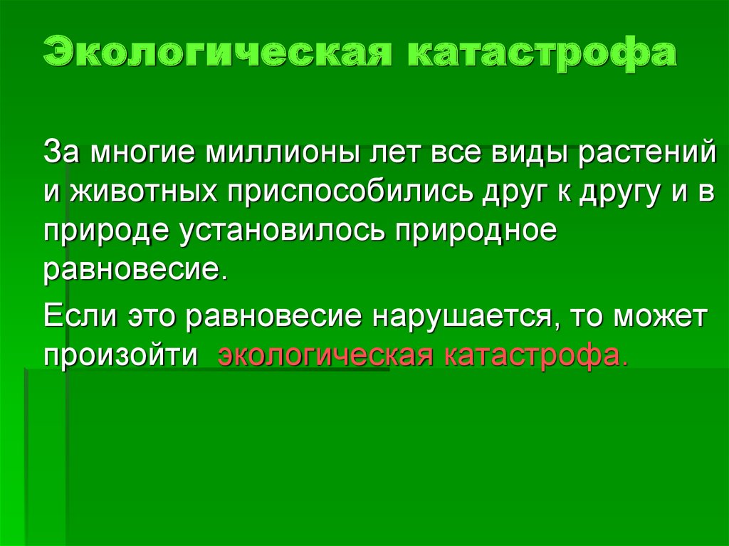 Экологические катастрофы презентация