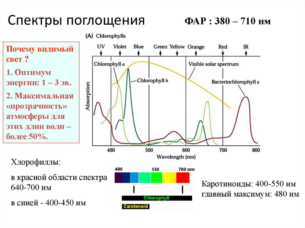 Состояние s c. Спектр поглощения со2. Спектр испускания и поглощения. УФ-спектр с максимумом поглощения при 280 НМ. Спектр спектр поглощения.