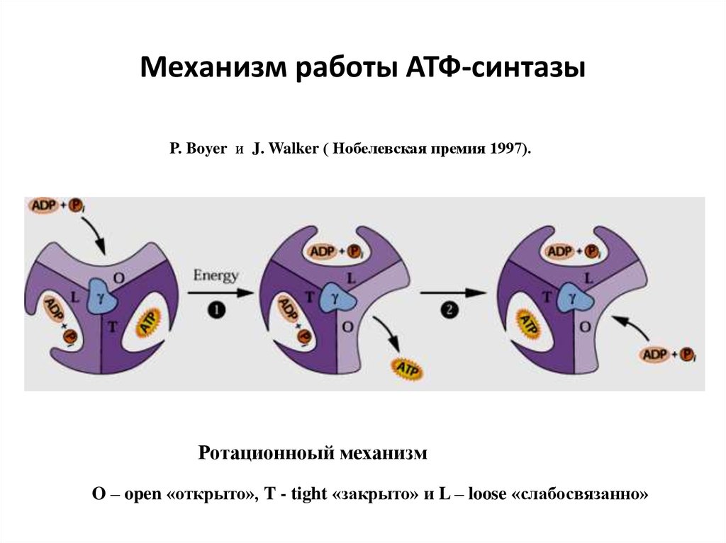 Механизм работы