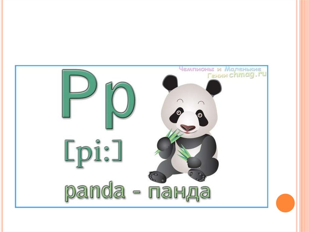 P p p po 0