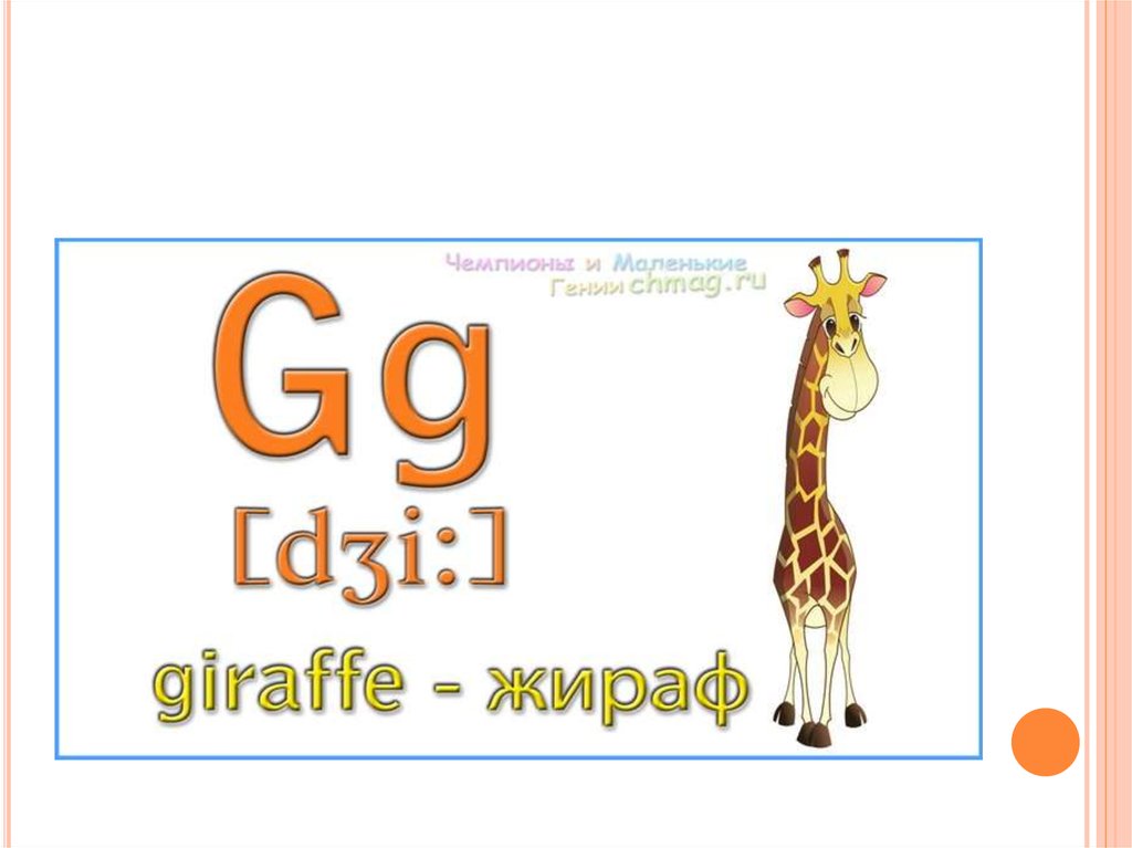Жираф звуки буквы. Буква g в английском. Английская буква g в картинках. Английские буквы для детей. Слова на букву g на английском.