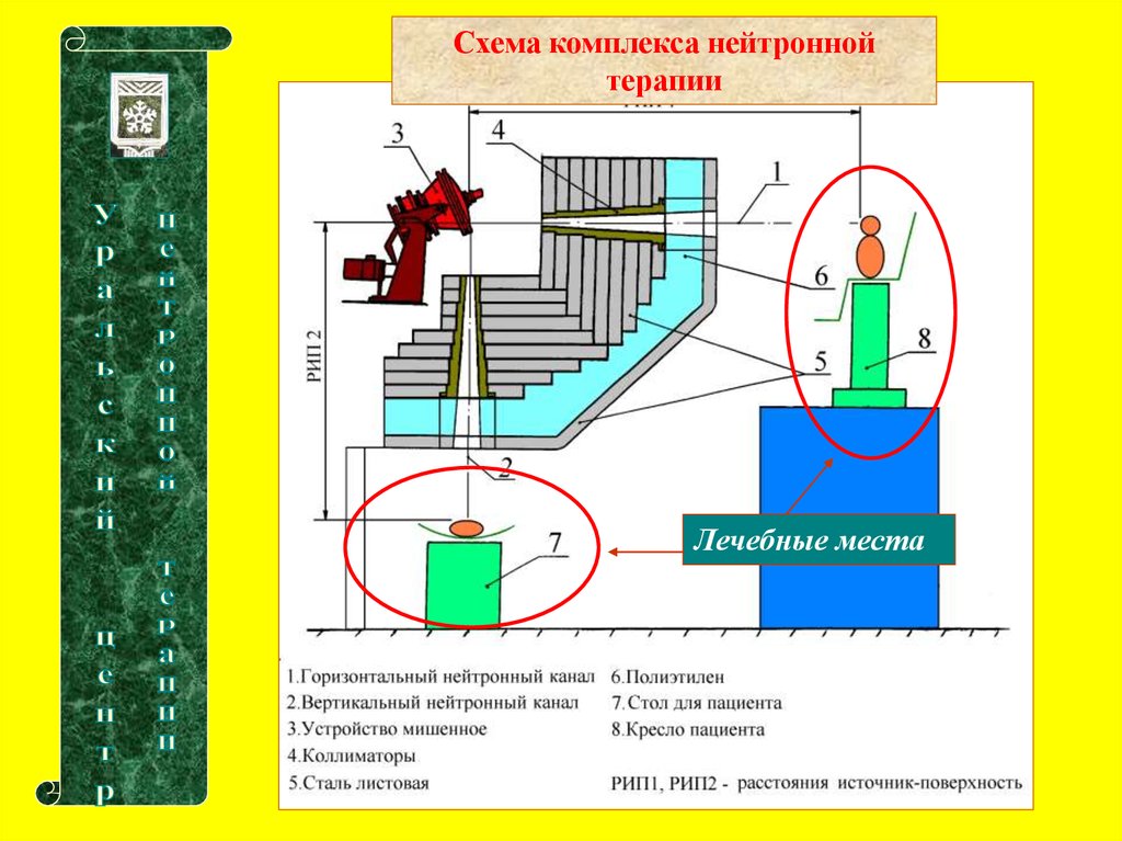 Нейтронная терапия презентация