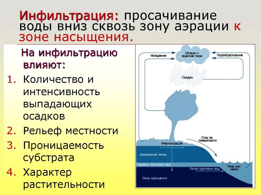 Основной источник пополнения подземных вод атмосферные осадки