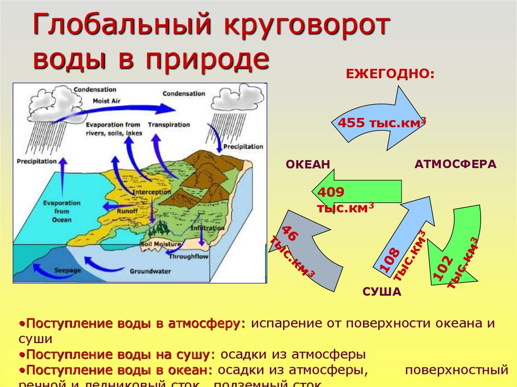 Фф большой круговорот