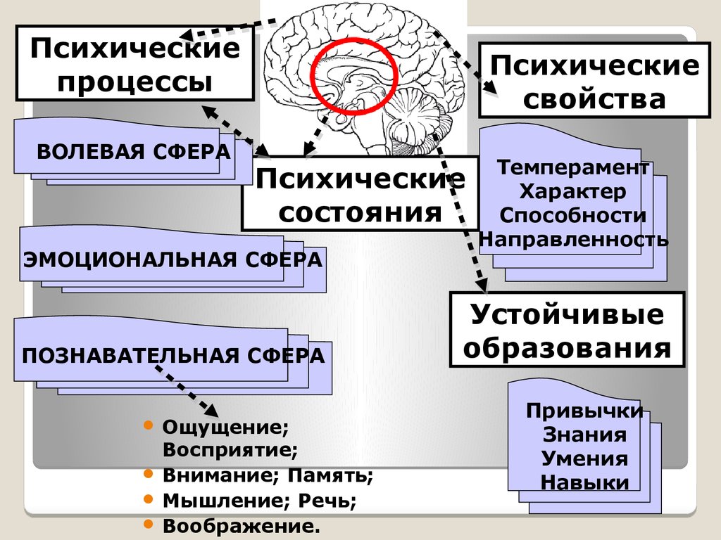 Структура дефекта при ЗПР схема. Структуру дефекта при поврежденном психическом развитии. Задержанное развитие структура дефекта. Структура дефекта при ЗПР схема по Выготскому.