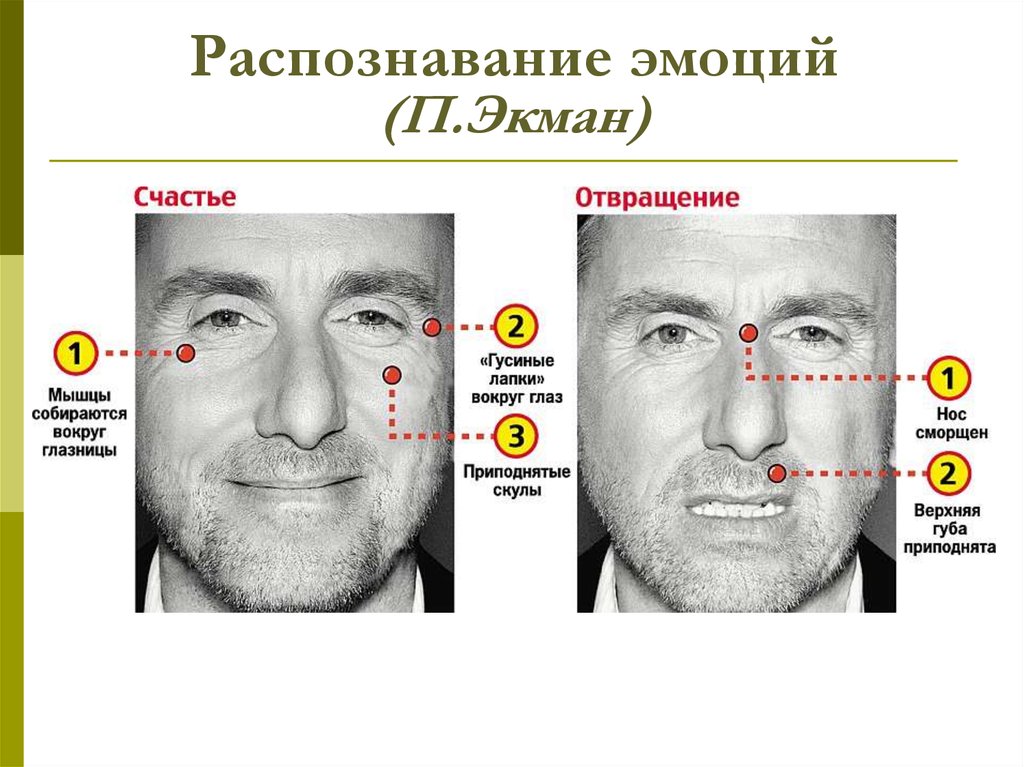 Базовые эмоции по экману картинки