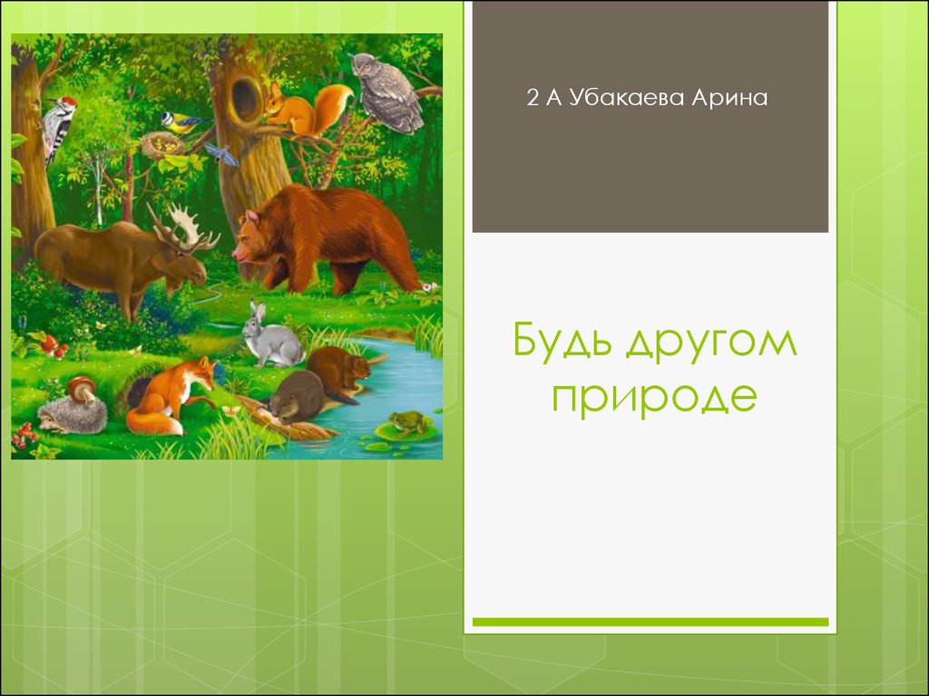 Будь природе другом. Презентация на тему будь природе друг. Шаблон будь природе другом. Друг природы всегда как закончить. Кого можно назвать другом природы.