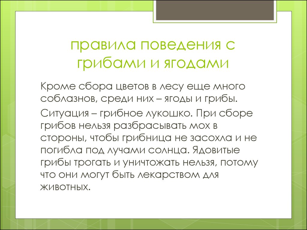 Собранного правило. Правила поведения в лесу грибы. Правила поведения при сборе грибов в лесу. Правила при сборе ягод. Правила поведения при сборе грибов.