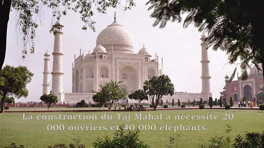La construction du Taj Mahal a nécessité 20 000 ouvriers et 40 000 éléphants.