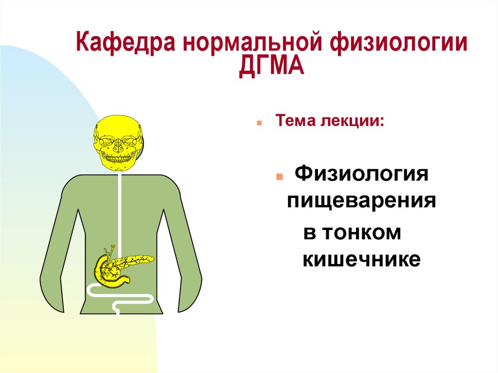 Пищеварение нормальная физиология. Нормальная физиология лекции. Нормальная физиология и микробиология.