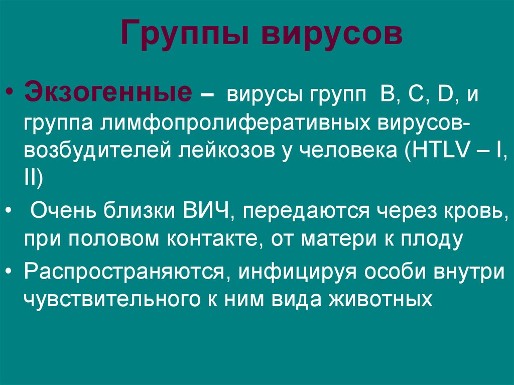 Вирусы 1 группы