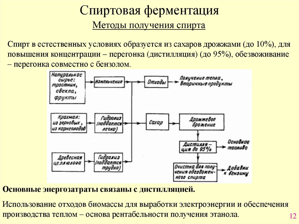 Стадии ферментации