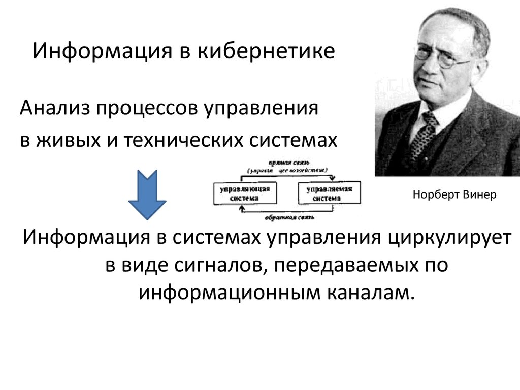 Роль винера в исследовании информационных процессов