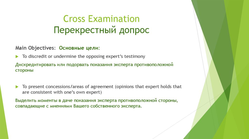 Camille Cross Examination