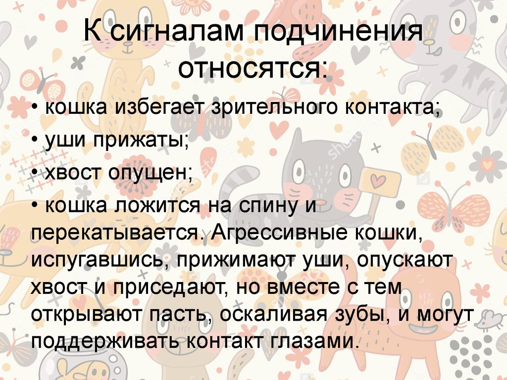 Относится подчинено