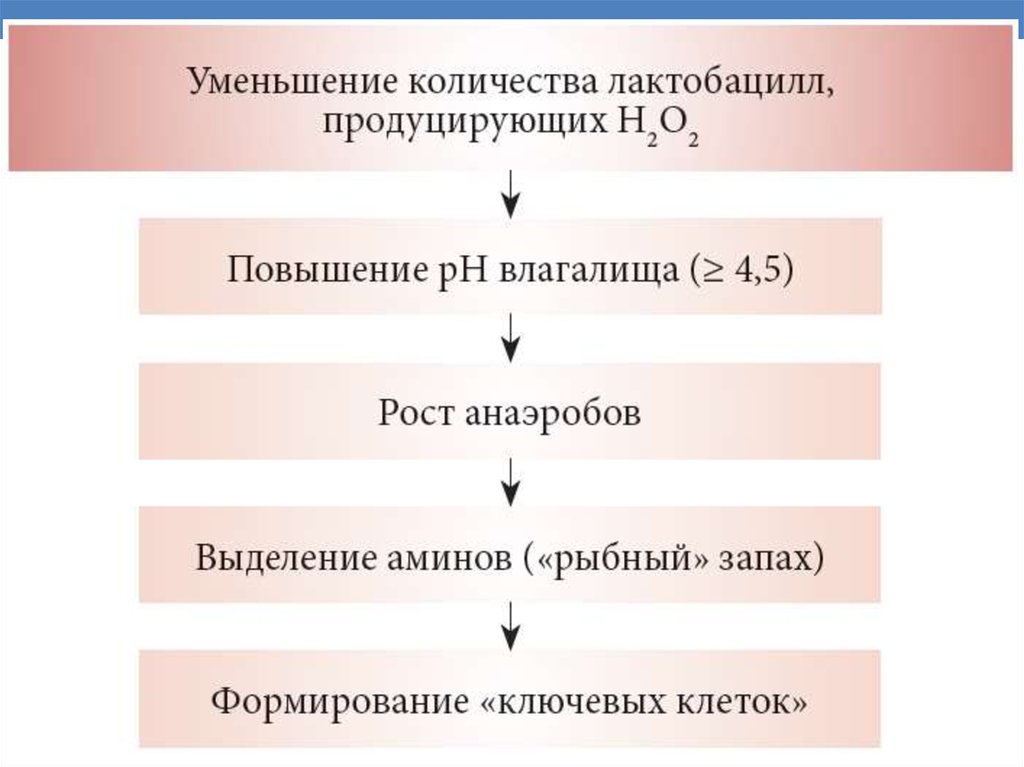 Схема лечения вагинита