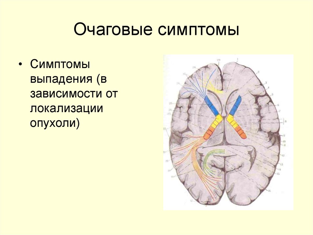 Очаговые симптомы головного мозга