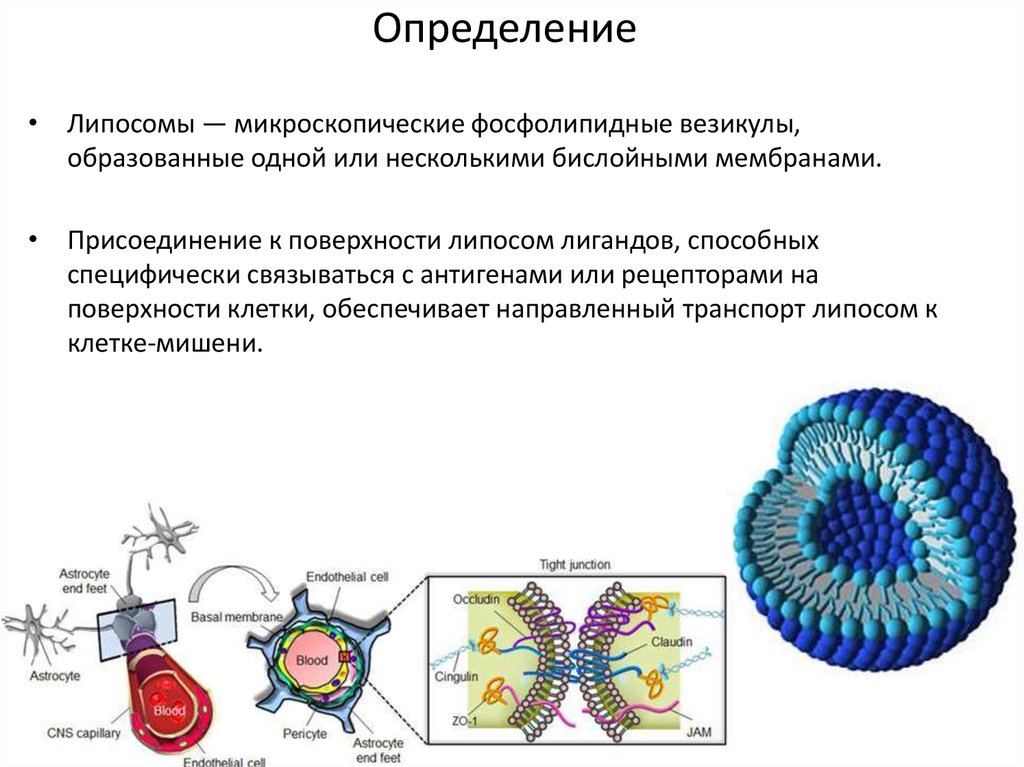Определение
